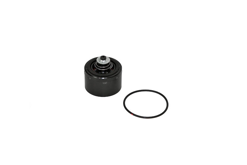 Check Valve Repair Kit For Series 700 Pumps